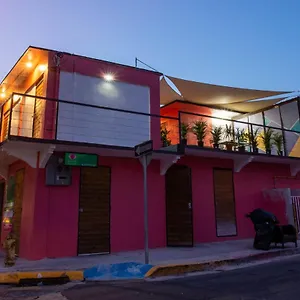 3* Hostel Guava House